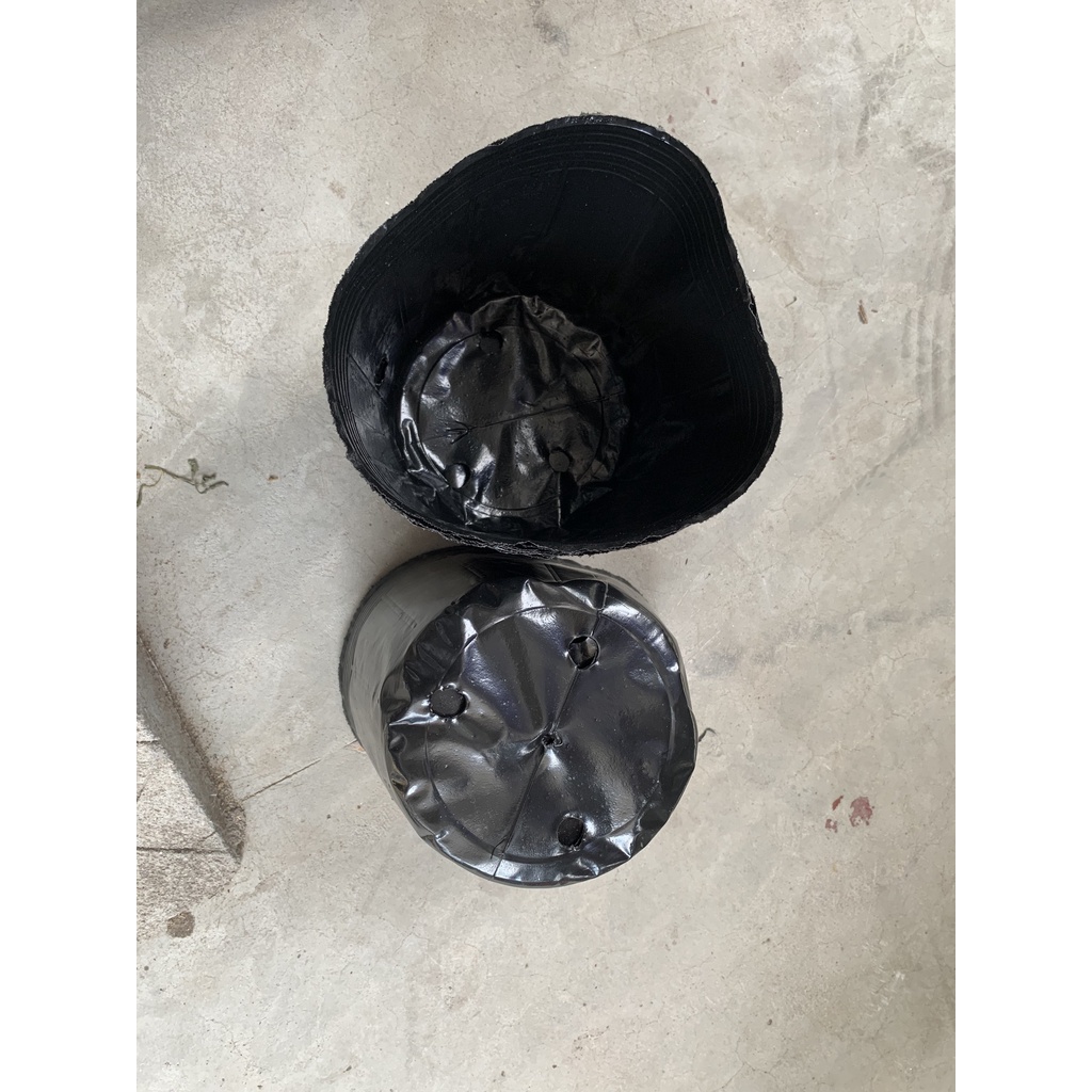 BẦU ƯƠM CÂY 18*16 ( DỊCH TRUYỀN CHO CÂY, KÍCH RỄ , MẦM CÂY XANH LÁ, LƯỚI CHE NẮNG...)