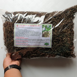 Hạt giống cây Nổ - sâm Tanh Tách (10 quả)