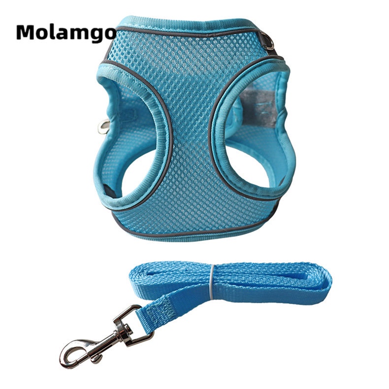 Dây Dắt Thú Cưng Phản Quang Thoáng Khí Kèm Dây Dắt