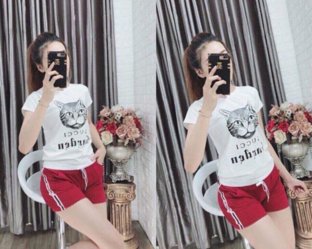 Combo 10 set trang phục | BigBuy360 - bigbuy360.vn