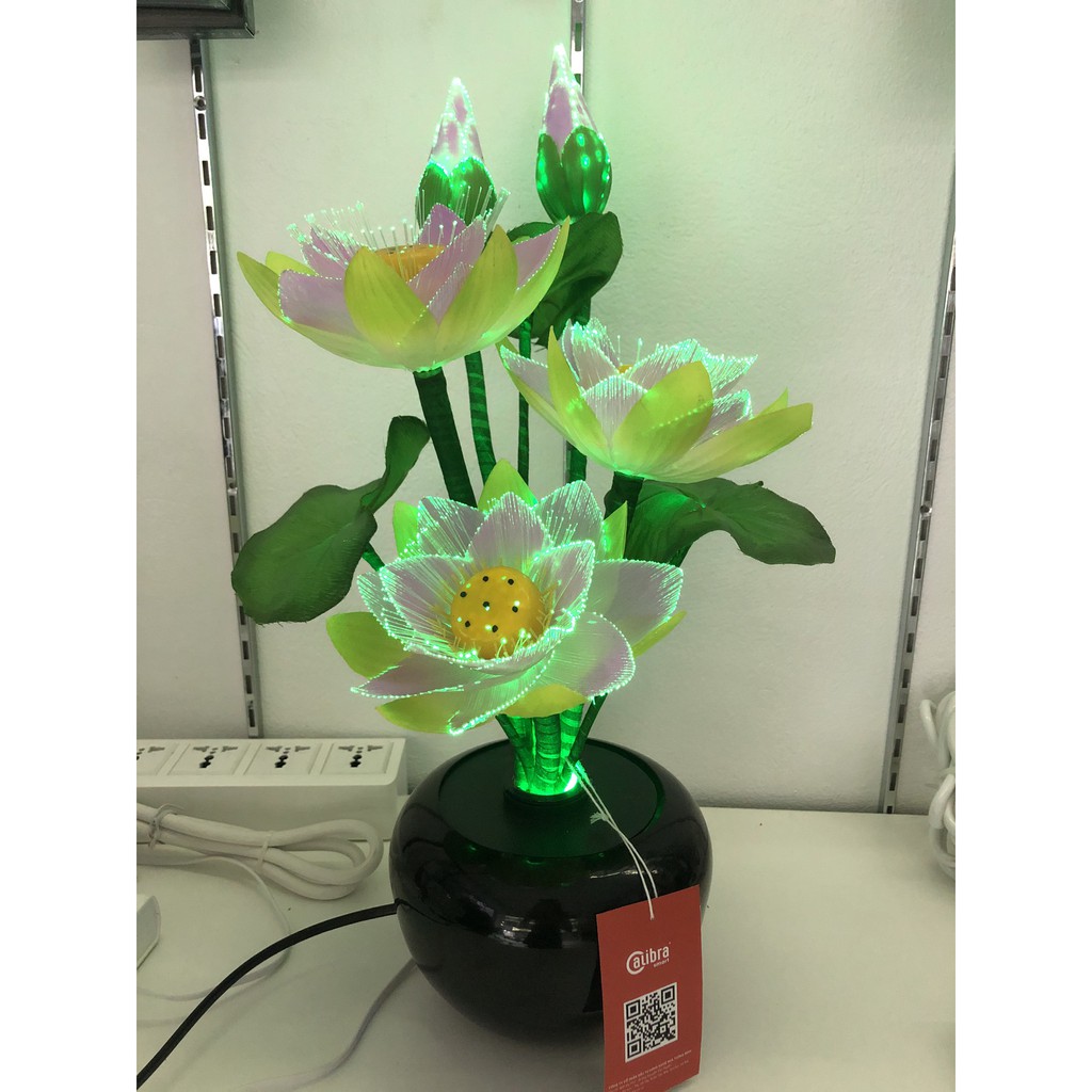 BÌNH HOA ĐÈN LED ĐỔI MÀU - NHIỀU MẪU HOA