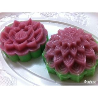 COMBO 2 KHUÔN RAU CÂU TRUNG THU