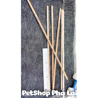Cầu Chim Chích Chòe