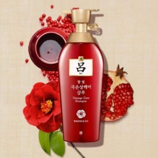 [Chính hãng có bill] Dầu gội đầu thảo dược RYO Damege Hambit Care