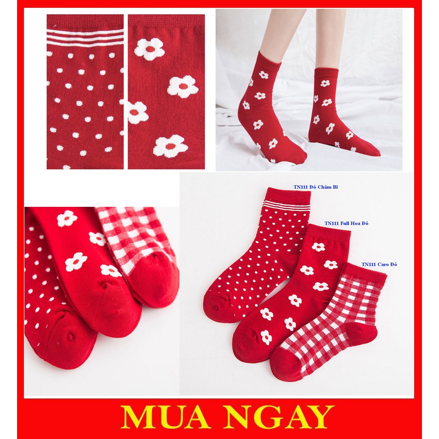 Vớ tất đỏ sắc xuân, Noel rộn ràng TN111