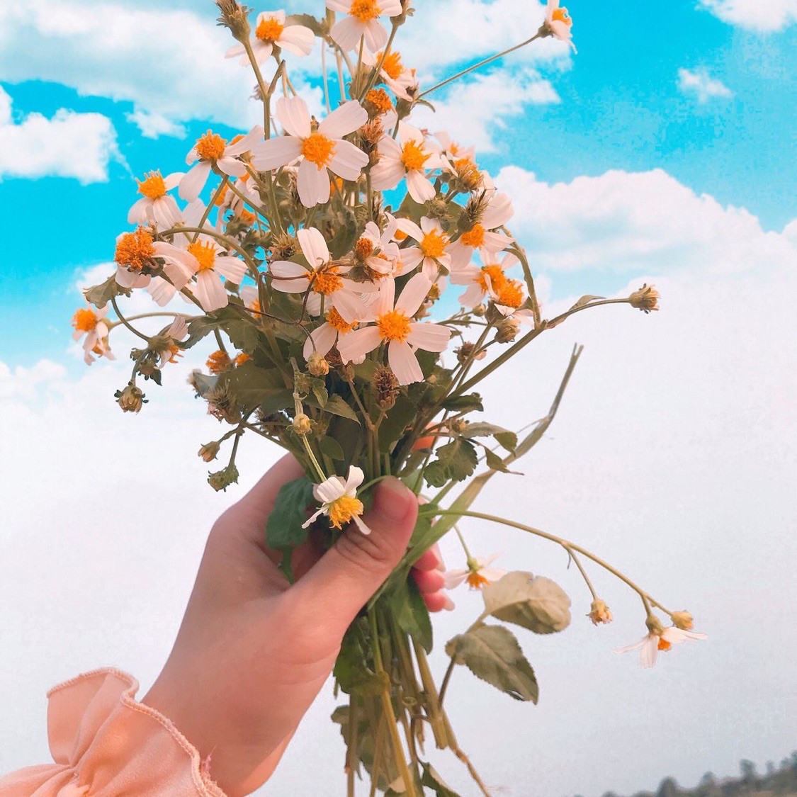 Cỏ Beauty ❤️