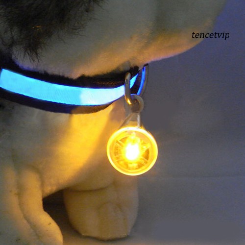 Vòng Cổ Có Đèn Led Độc Đáo Cho Thú Cưng