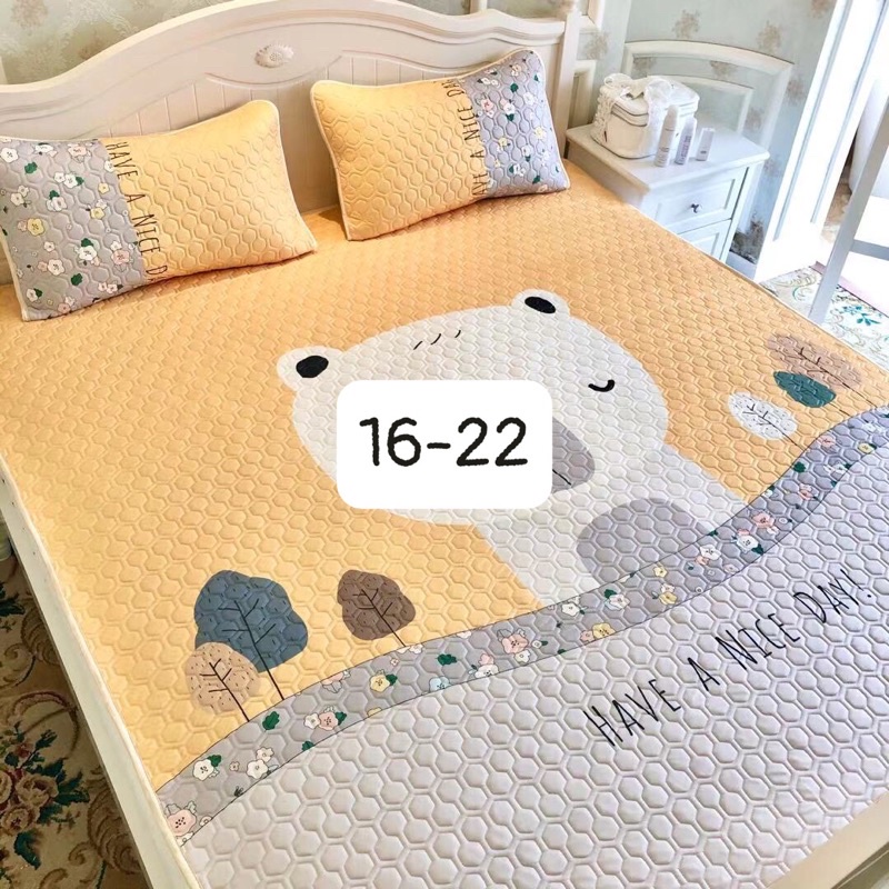 [Mã INCU1708 hoàn 15K xu đơn 50K]Chiếu điều hoà cao su non cao cấp siêu êm siêu mịn dày dặn Luis Bedding shop chăn ga