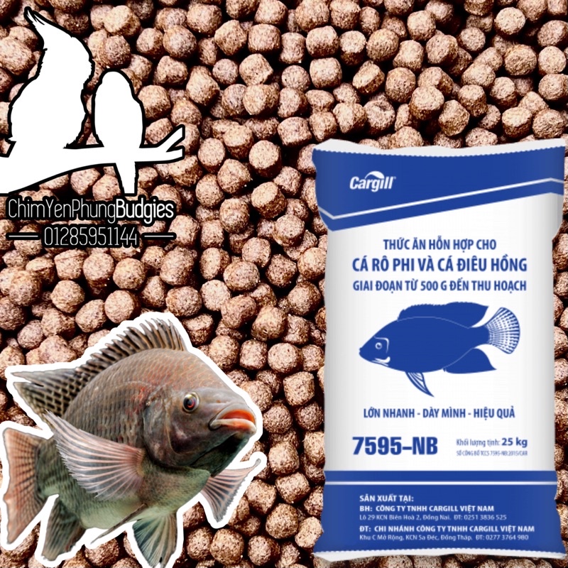 1kg Cám Cá Cargill 7595 Cho Cá Ăn Hoặc Dùng Câu Cá,rô phi,điêu hồng,Chép.