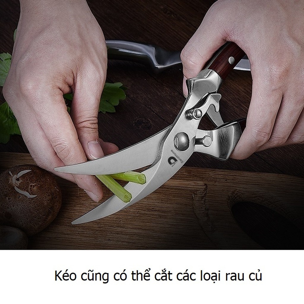 Kéo cắt gà,cắt thực phẩm, tỉa cây inox 24cm cao cấp DGS - loại cao cấp XNK