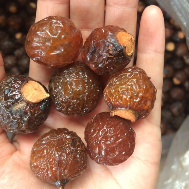 Combo bồ hòn