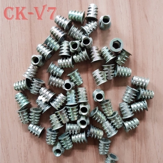 Túi ốc cấy gỗ phi 6 - 100 con