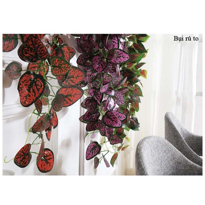 Cụm rủ treo tường-cụm rủ to