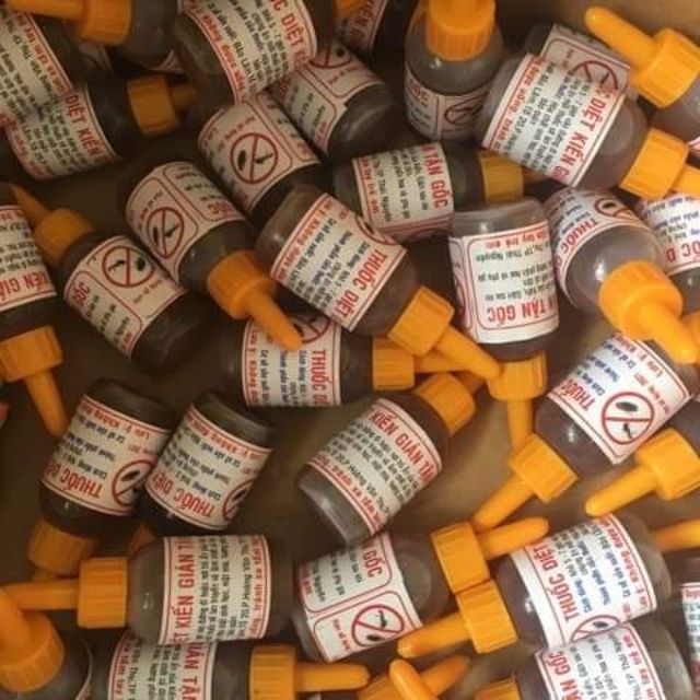 Thuốc diệt kiến gián tận gốc