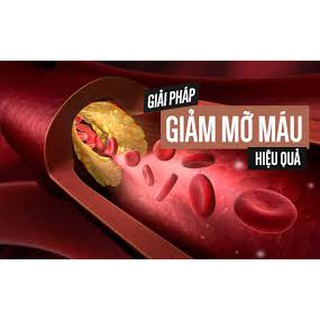 Hộp Trà Linh Chi Nhất Long (hộp đặc biệt 10 gói)