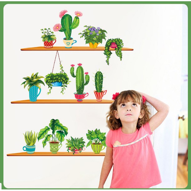 Decal  xương rồng 3 kệ  - XH9309392- thaomivi | BigBuy360 - bigbuy360.vn