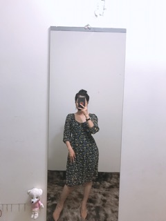 Đầm hót giá hạt dẻ