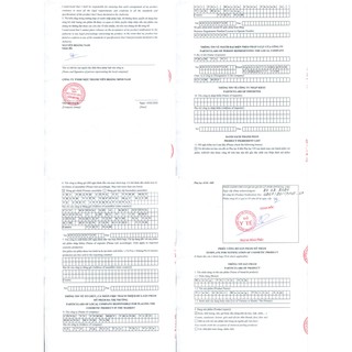[Có thể lựa chọn 1 in 2] Combo Dưỡng Hoàng Thiên Sâm