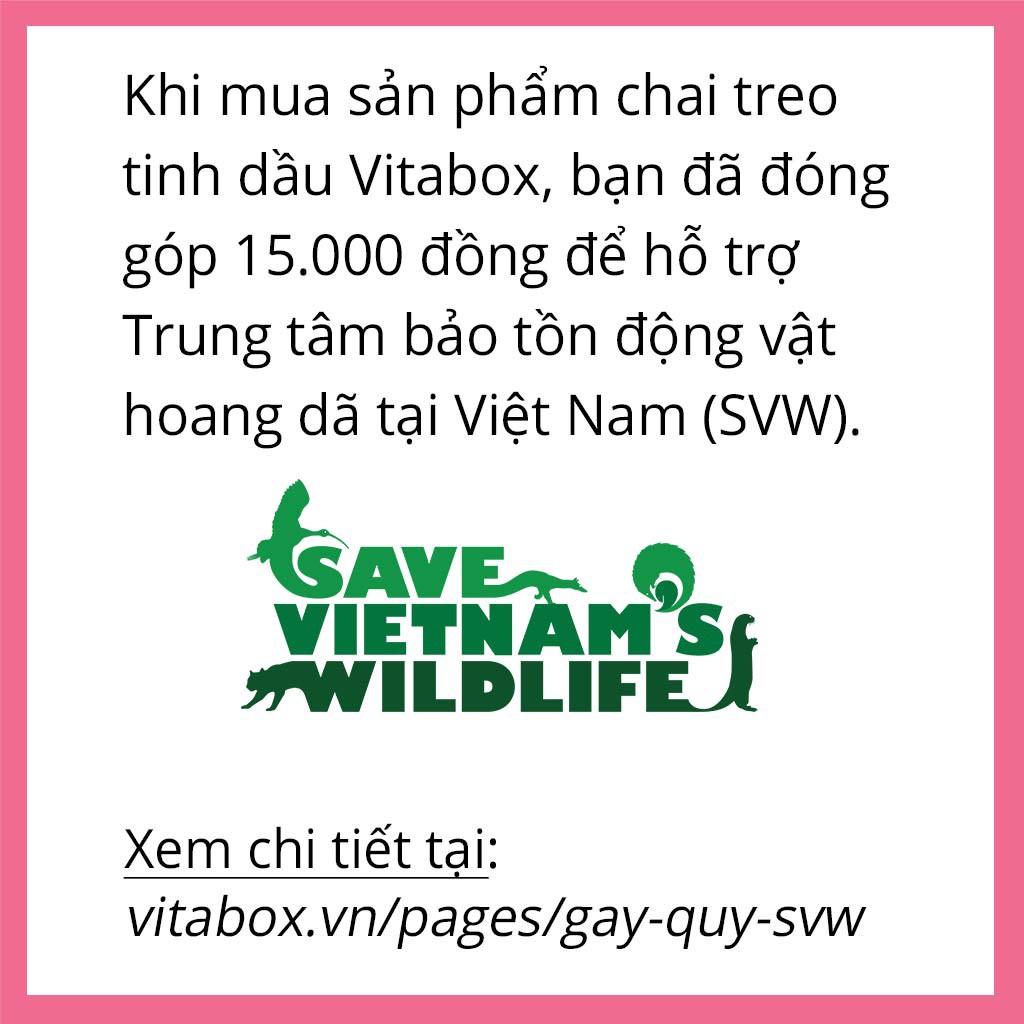 Tinh dầu treo xe VITABOX nguyên liệu 100% thiên nhiên mùi thơm dễ chịu an toàn cho ô tô, phòng ngủ, tủ quần áo