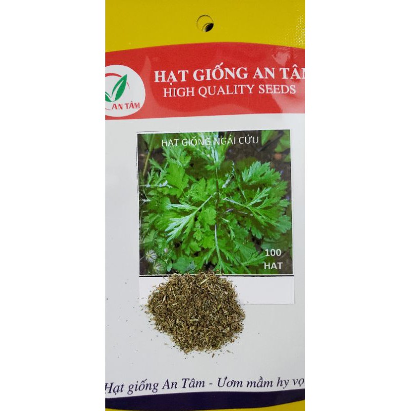 Hạt giống ngải cứu