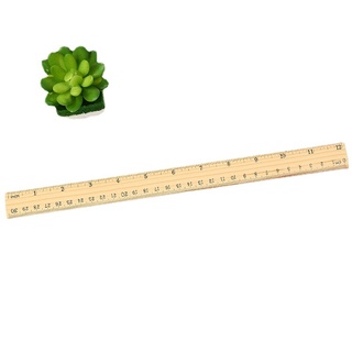 Thước Thẳng Bằng Gỗ 15cm 20cm 30cm