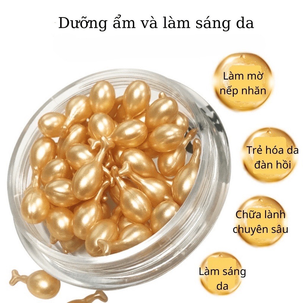 Nhau thai cừu và pha loãng tinh chất serum fullerene Collagen dưỡng ẩm làm sáng săn chắc da.