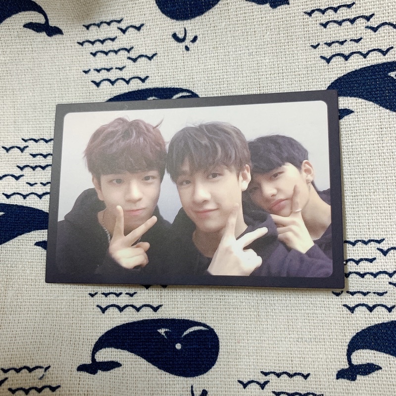Card Unit Stray Kids