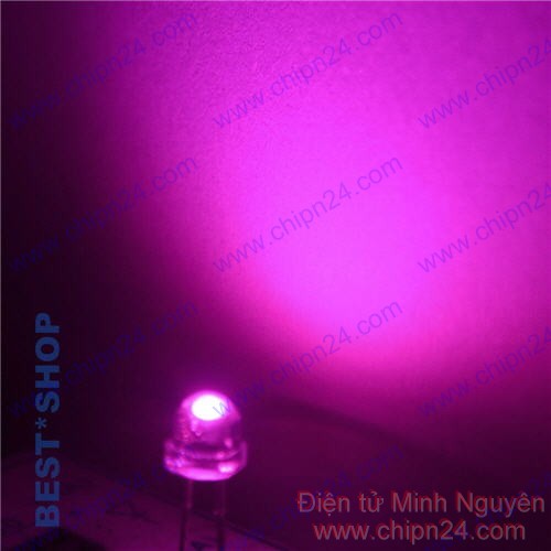 [50 CON] (TK1) Led 5mm Lùn màu HỒNG (LH5)