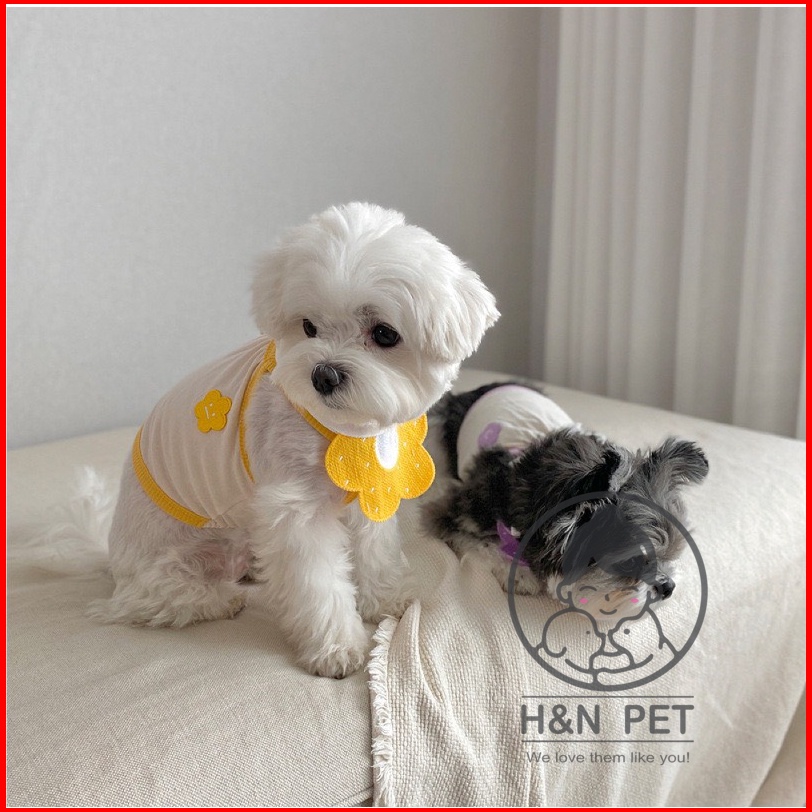 Yếm đeo cổ cho thú cưng H&amp;N PET