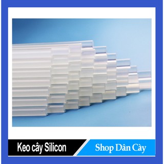 [GIẢM GIÁ] Bộ 10 Keo Cây Silicon