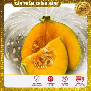 Hạt giống Bí Đỏ Tròn lai quả to năng suất - Hạt giống bầu bí