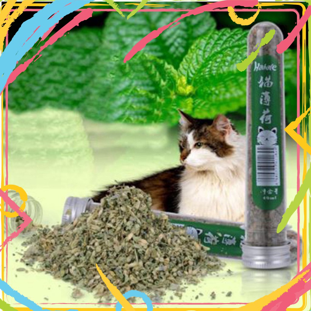 EW24 LSDF Cỏ Bạc Hà Mèo Catnip Hahale - Ống 40ml 18
