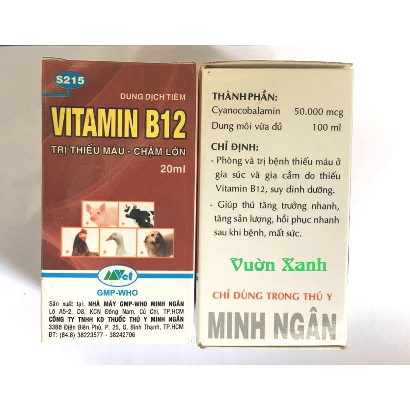 Vitamin B12 cho cây cảnh, phong lan 20ml