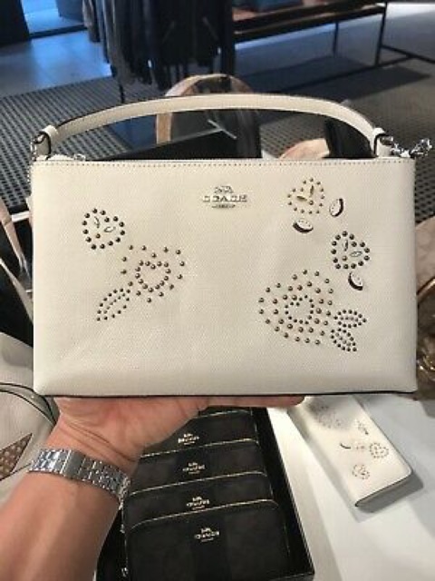 Túi ,Ví  COACH xánh tay Mỹ ,ngang20cm,................................................................