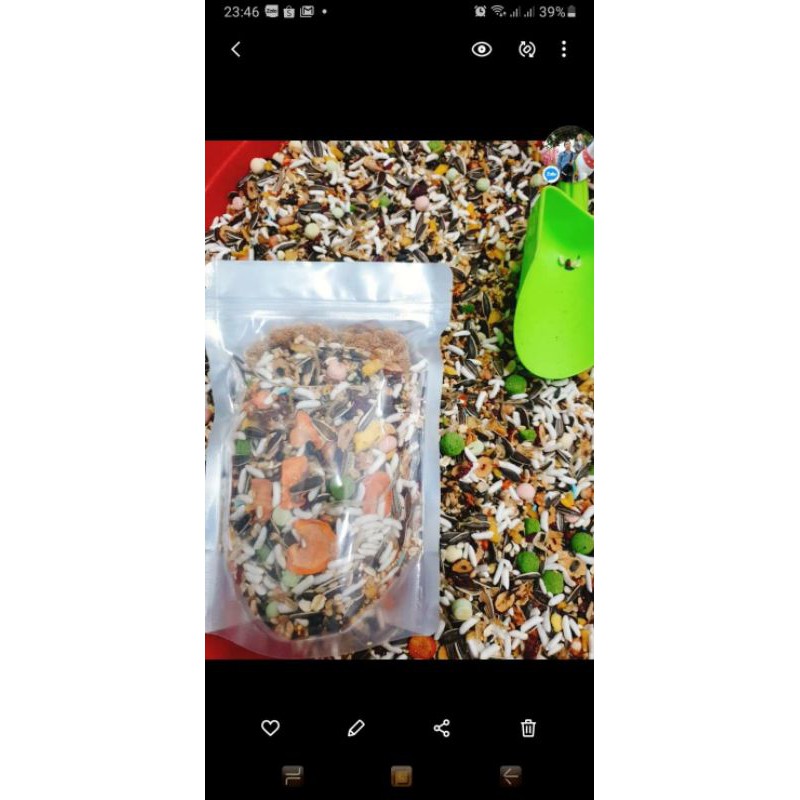 500g thức ăn hải sản cho hamster