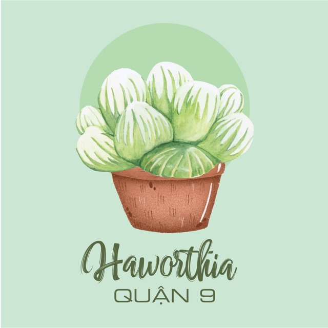 Haworthia Quận 9