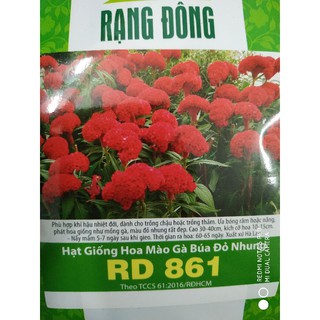 Hạt giống Hoa Mào gà búa đỏ nhung ❤️FREESHIP XTRA❤️
