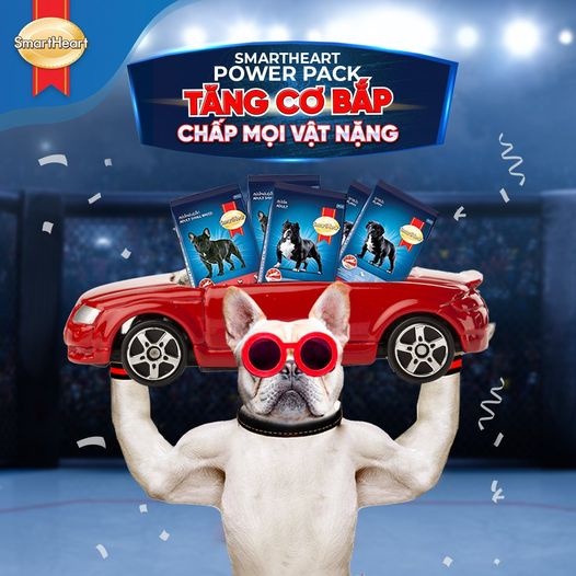 Thức ăn khô cho giống cơ bắp 3kg SmartHeart Power Pack chó con/chó lớn