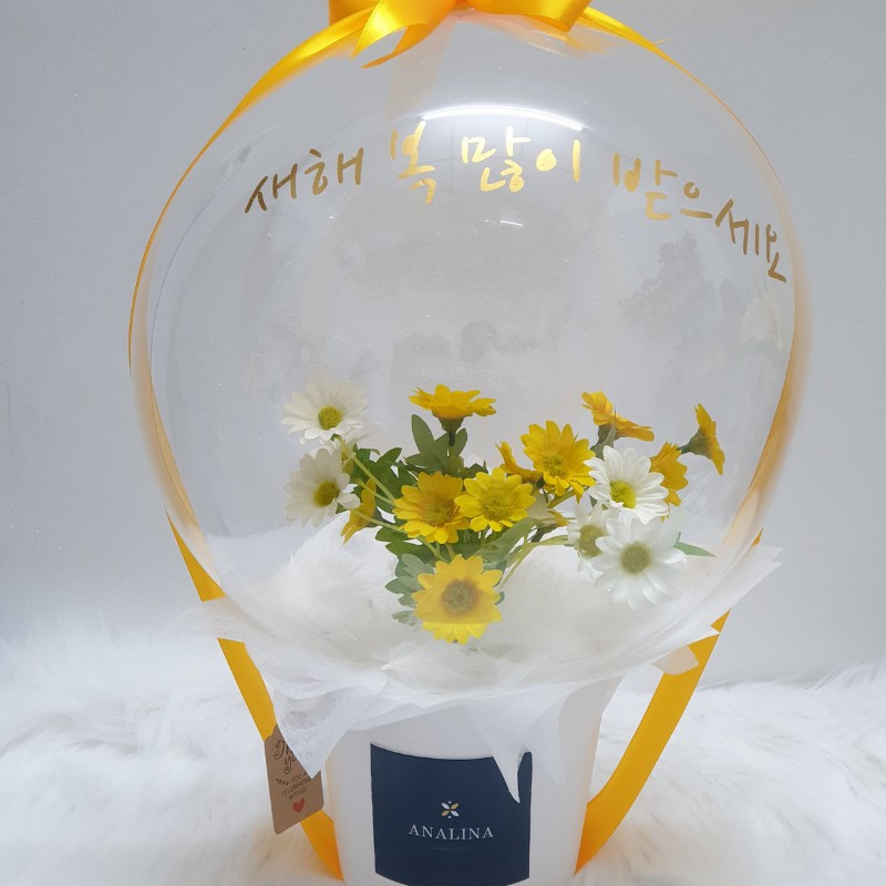 [HÀNG BÁN CHẠY] Cúc Họa Mi lồng bong bóng JUMBO HÀN QUỐC, hoa bong bóng, quà sinh nhật độc lạ, sang trọng, ấn tượng