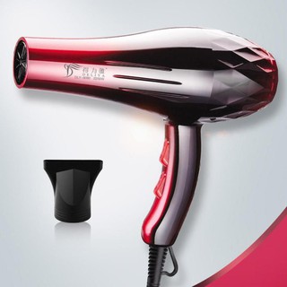 máy sấy tóc 2 chiều Deliya công suất lớn