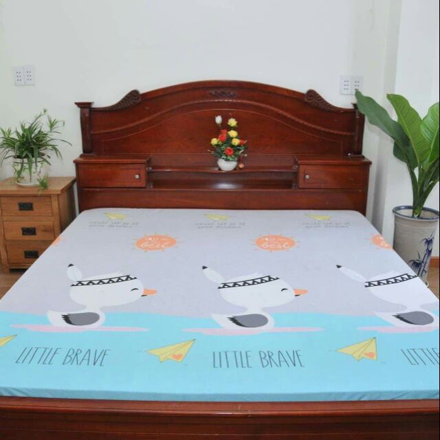 Drap chống thấm cao cấp 100% cotton