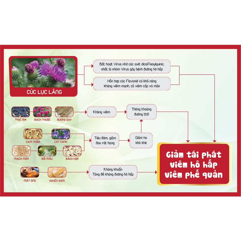 Siro Ho Cho Bé An Phế Kids Hỗ Trợ Bổ Phế, Giảm Ho, Giảm Đờm, Giảm Đau Rát Họng, Khản Tiếng Do Viêm Họng, Viêm Phế Quản