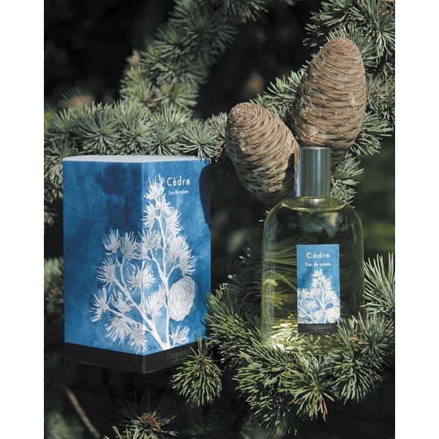 Nước hoa nội địa Pháp Fragonard Cedre EDT 10mL mùi gỗ tuyết tùng