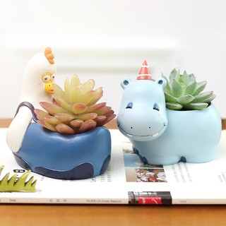 chậu sen đá hình thú cute (oder)