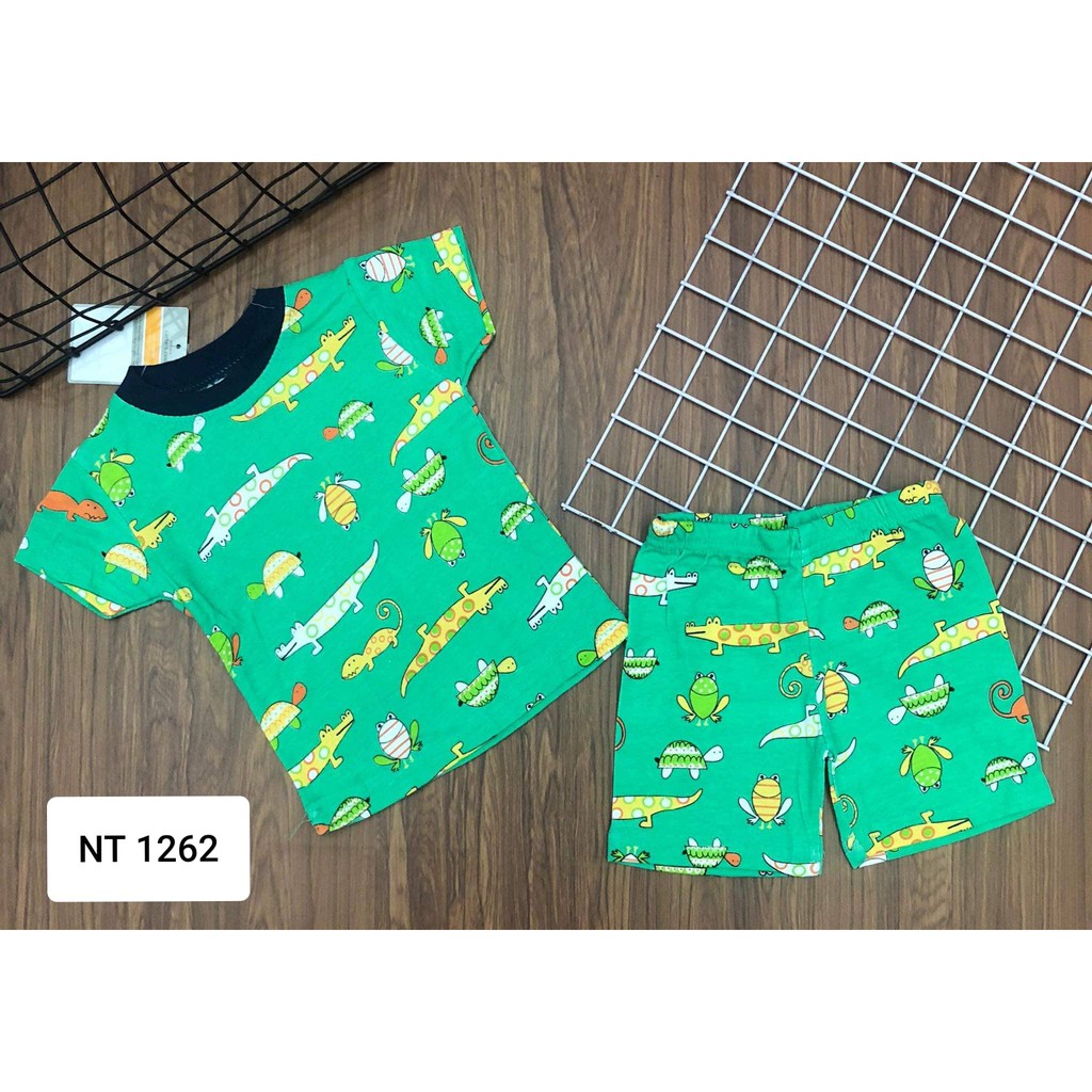 Set đồ bộ Carter's  bé trai