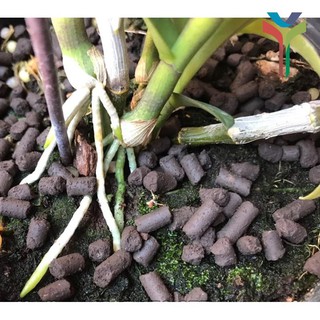 Phân trùn quế viên nén 1kg bổ sung thêm Trichoderma phân giải xenlulo