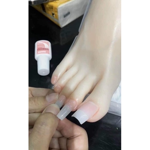 móng úp chân dài đục trong