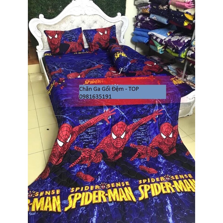 Sét Chăn Ga 5 Món Cotton Poly