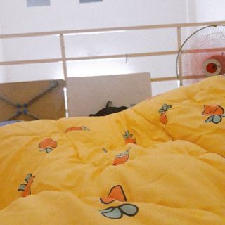 CHĂN GRAP "CÀ RỐT" TRỌN BỘ 5 MÓN SIÊU RẺ (CHĂN CHẦN BÔNG SẴN)
