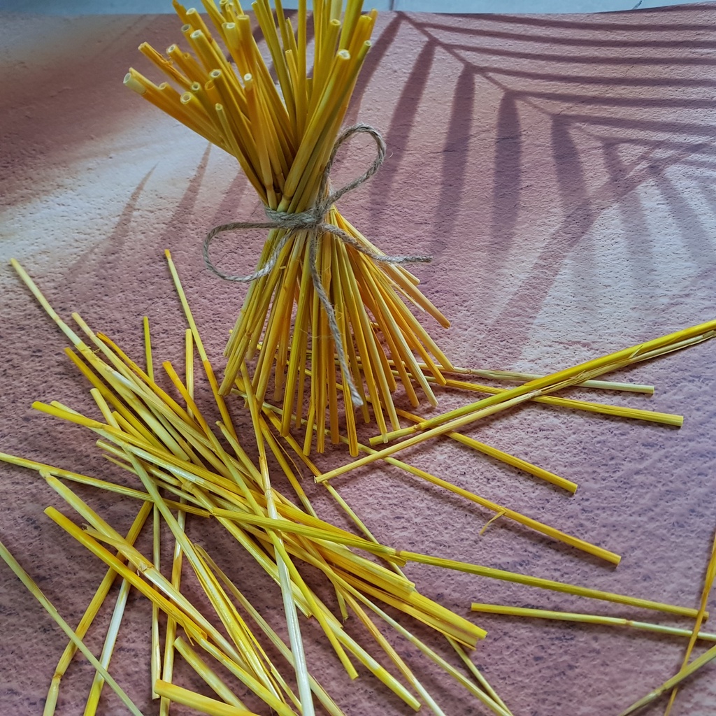 Bông lúa mạch / rơm vàng phụ kiện trang trí chụp ảnh, cành lúa mạch hoa khô cắm bình, lọ decor